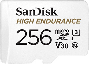 Sandisk 256gb High Endurance MicroSD Card