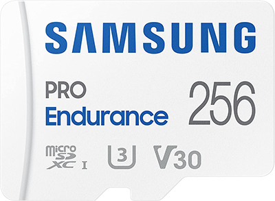 Samsung Pro Endurance 256GB MicroSD Card